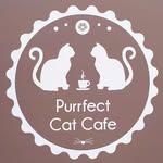Purrfect Cat Café — Macskakávézó